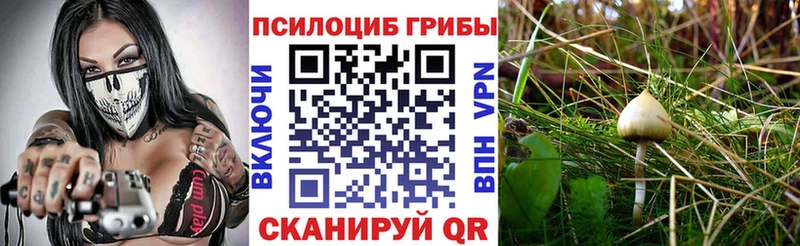 Псилоцибиновые грибы Psilocybe  Новый Уренгой 